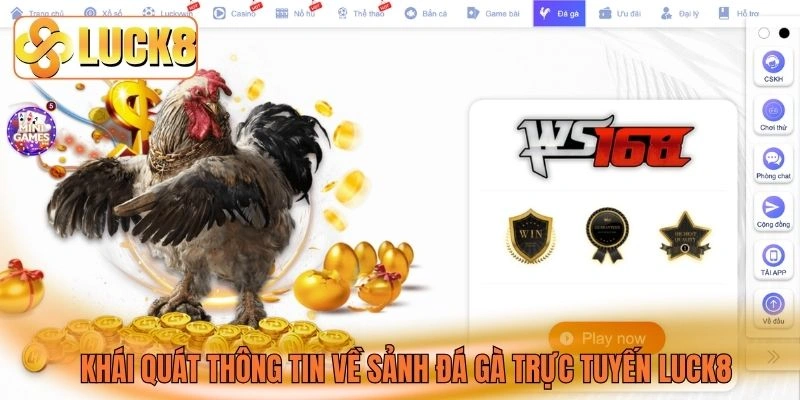 Khái quát thông tin về sảnh đá gà trực tuyến LUCK8 Khái quát thông tin về sảnh đá gà trực tuyến LUCK8
