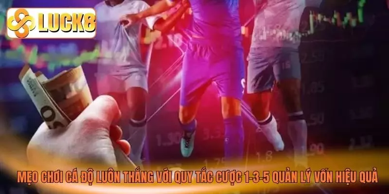 Mẹo chơi cá độ luôn thắng với quy tắc cược 1–3–5 quản lý vốn hiệu quả Mẹo chơi cá độ luôn thắng với quy tắc cược 1–3–5 quản lý vốn hiệu quả
