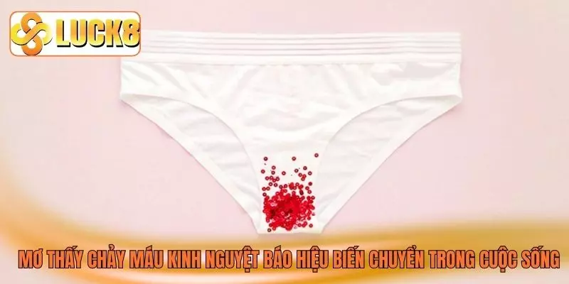 Mơ thấy chảy máu kinh nguyệt báo hiệu biến chuyển trong cuộc sống Mơ thấy chảy máu kinh nguyệt báo hiệu biến chuyển trong cuộc sống