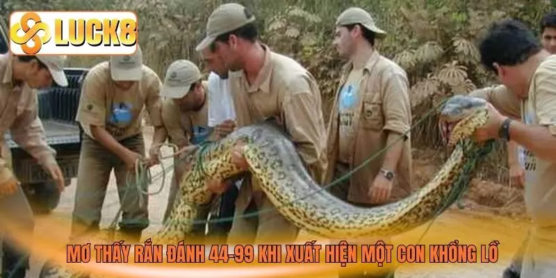Mơ thấy rắn đánh 44-99 khi xuất hiện một con khổng lồ Mơ thấy rắn đánh 44-99 khi xuất hiện một con khổng lồ