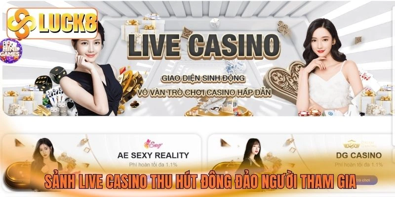Sảnh live casino thu hút đông đảo người tham gia Sảnh live casino thu hút đông đảo người tham gia