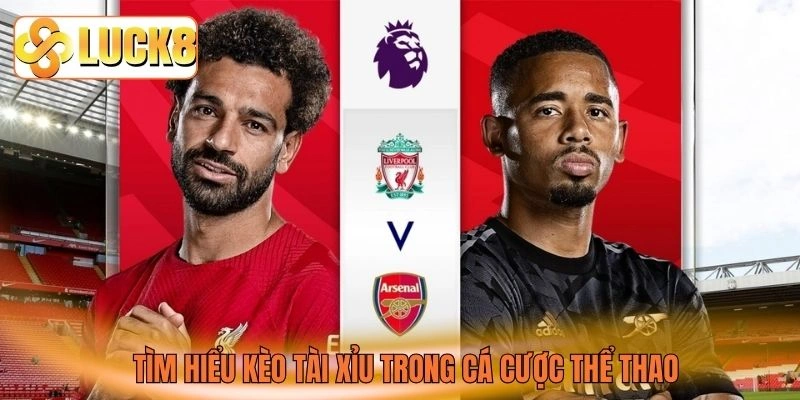 Tìm hiểu kèo tài xỉu trong cá cược thể thao Tìm hiểu kèo tài xỉu trong cá cược thể thao