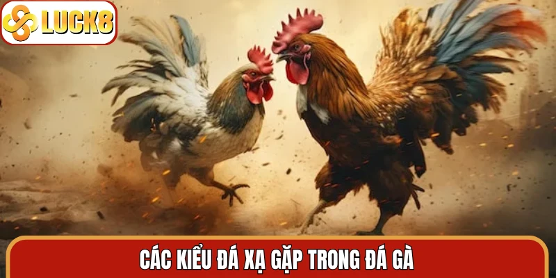 Các kiểu đá xạ gặp trong đá gà