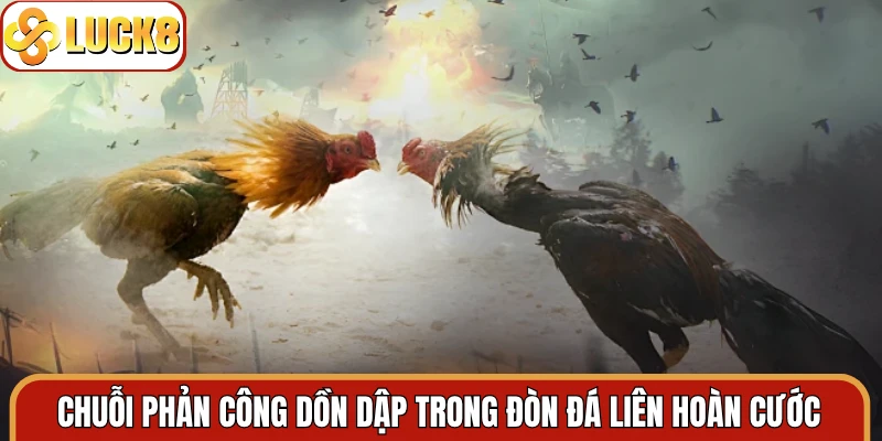 Chuỗi phản công dồn dập trong đòn đá liên hoàn cước