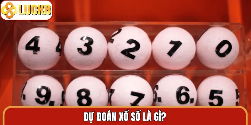 Dự đoán xổ số là gì?