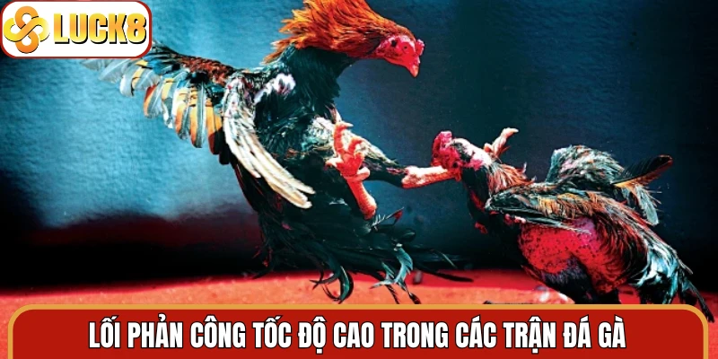 Lối phản công tốc độ cao trong các trận đá gà